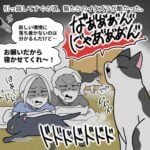 【いなくなった猫の隠れ場所】